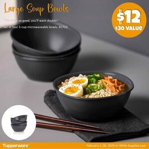 COPY - NWT Microwave Reheatable Bowls Tupperware